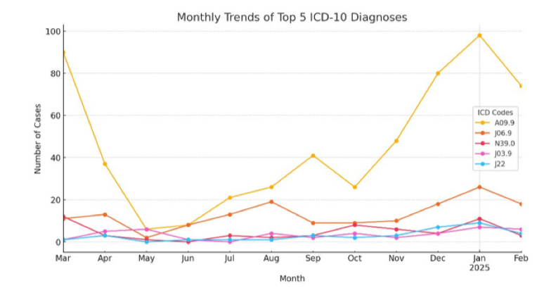 Monthly trends of Top 5 ICD graph